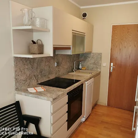 Center, Trnovski Pristan Apartment *