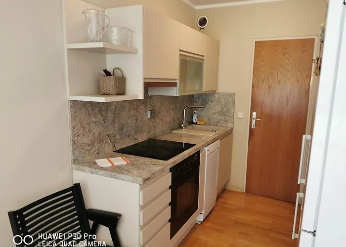 Center, Trnovski Pristan Apartment *