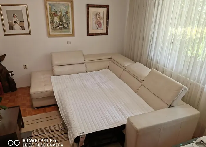 Center, Trnovski Pristan Apartment *